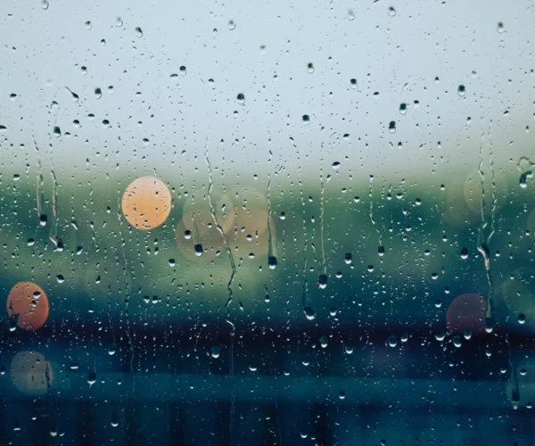 085b8a86e7323d948f9131733dac63a78d28d096-3723x2492 085b8a86e7323d948f9131733dac63a78d28d096-3723x2492